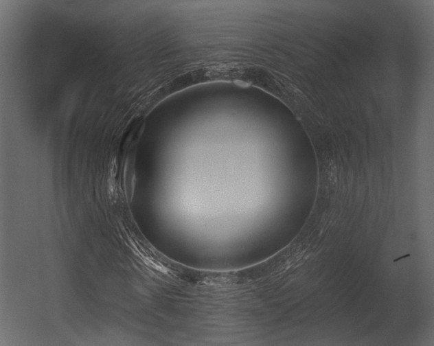 X0000054420914200508011353