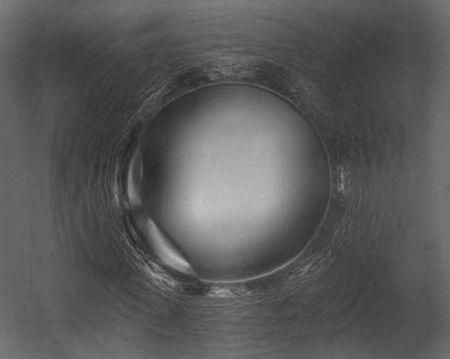 X0000054420915200508011353