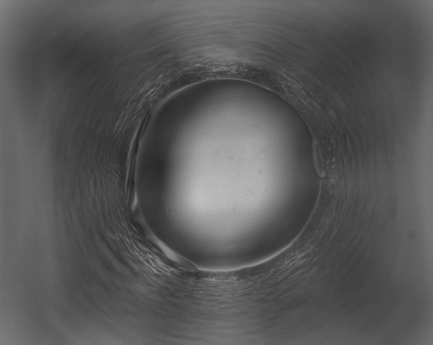 X0000054420916200508011353