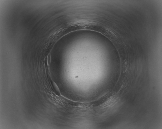 X0000054420917200508011353