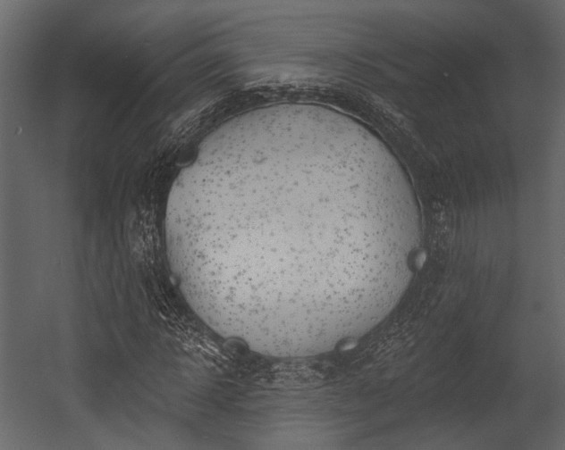 X0000054420918200508011353