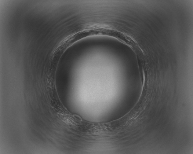 X0000054420919200508011353