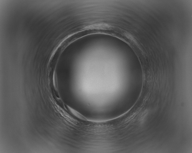 X0000054420923200508011353