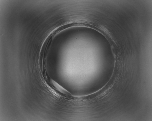 X0000054420924200508011353