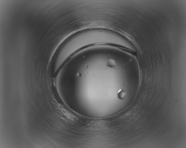 X0000054420926200508011353