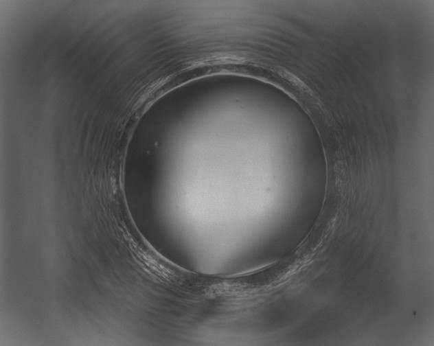 X0000054420929200508011353