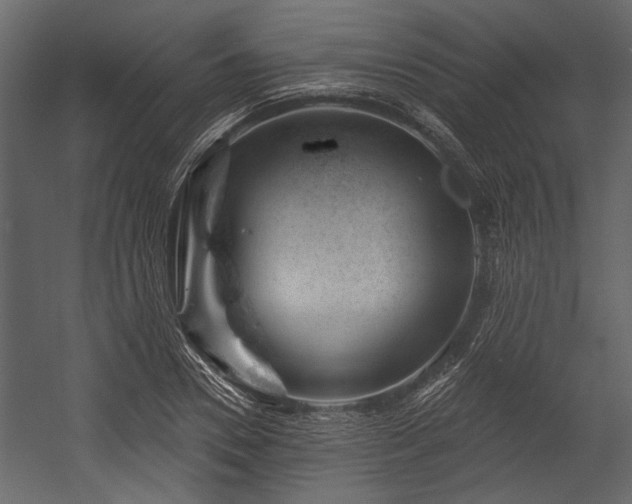 X0000054420930200508011353