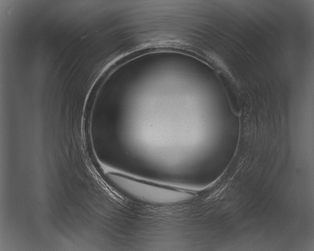 X0000054420932200508011353