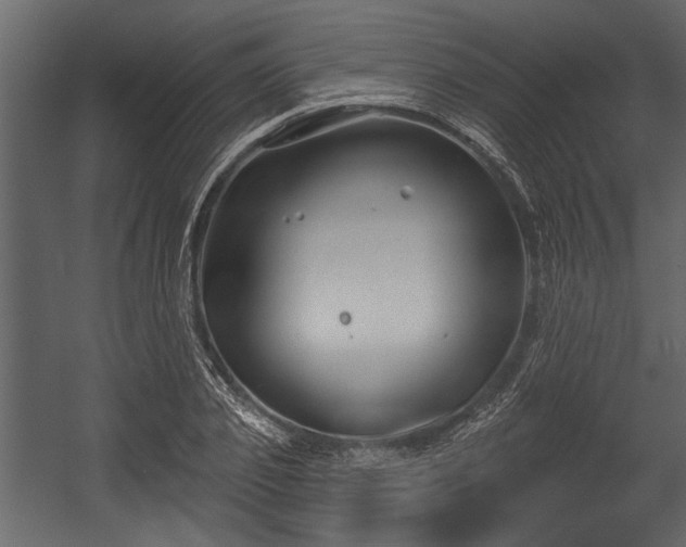 X0000054420933200508011354