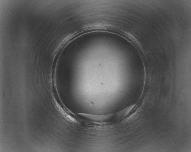 X0000054420938200508011354