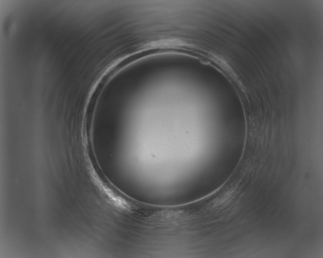 X0000054420939200508011354