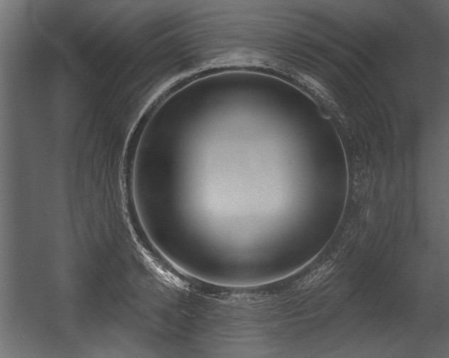 X0000054420942200508011354