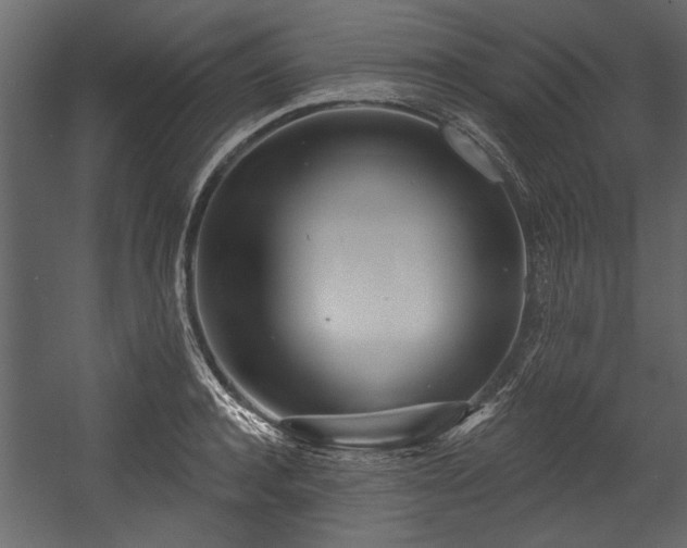 X0000054420944200508011354