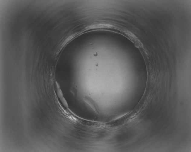 X0000054420945200508011354