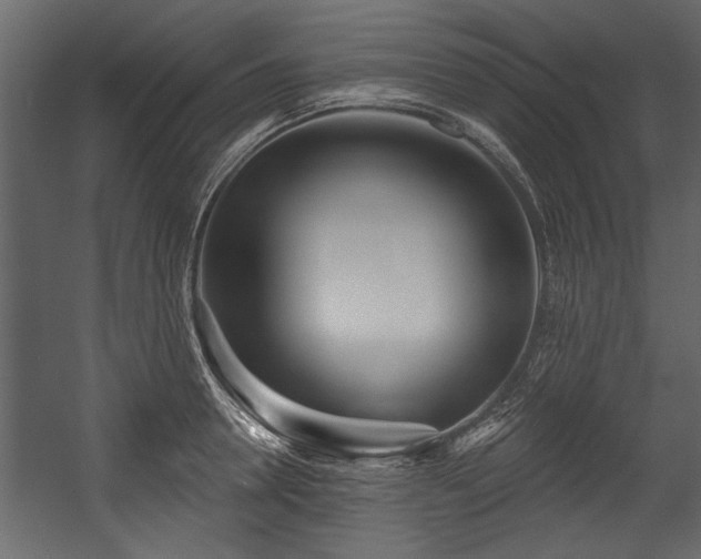 X0000054420946200508011354