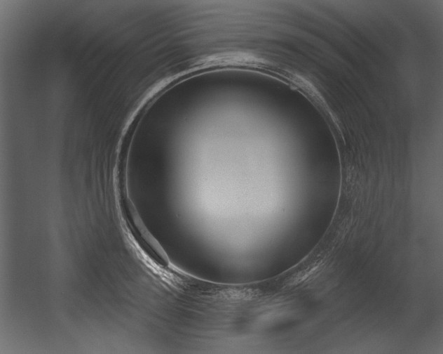 X0000054420947200508011354