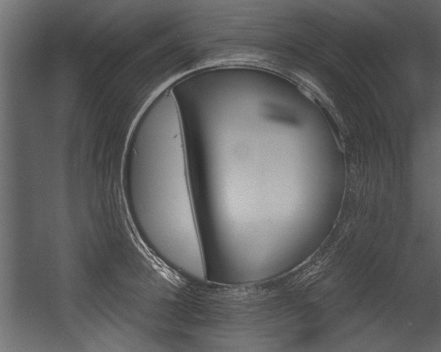 X0000054420948200508011354