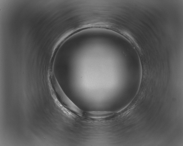 X0000054420952200508011354