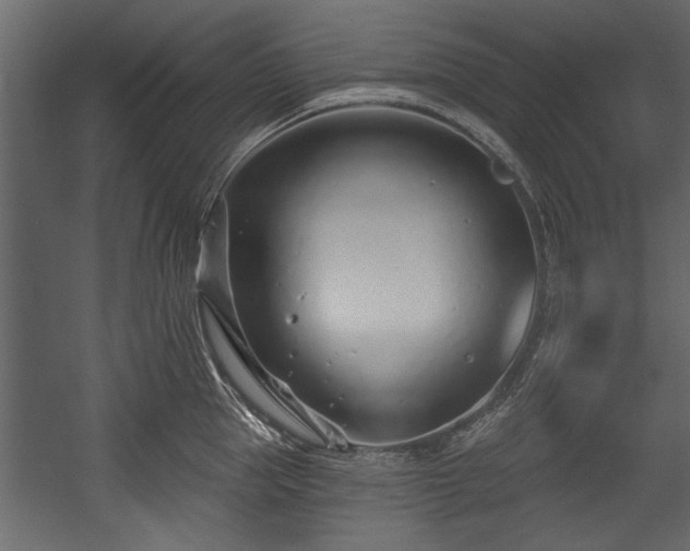 X0000054420953200508011354