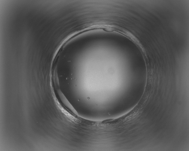 X0000054420955200508011354