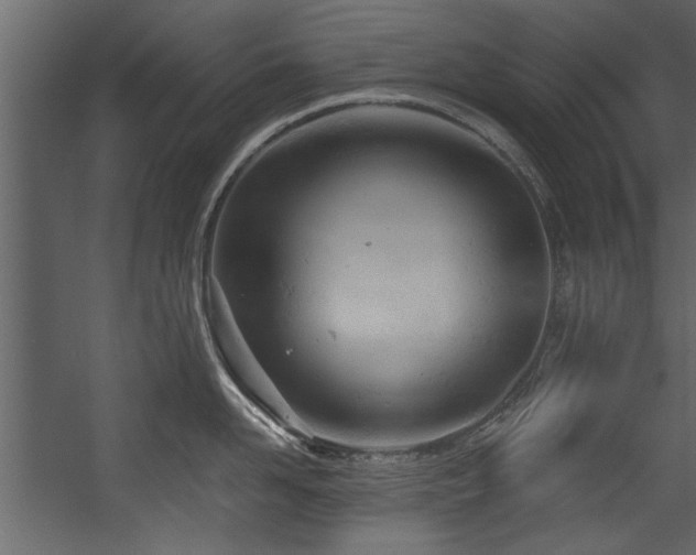 X0000054420958200508011354