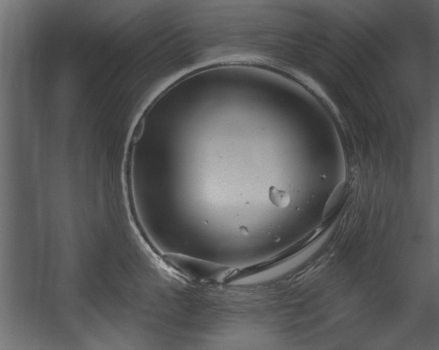 X0000054420959200508011354