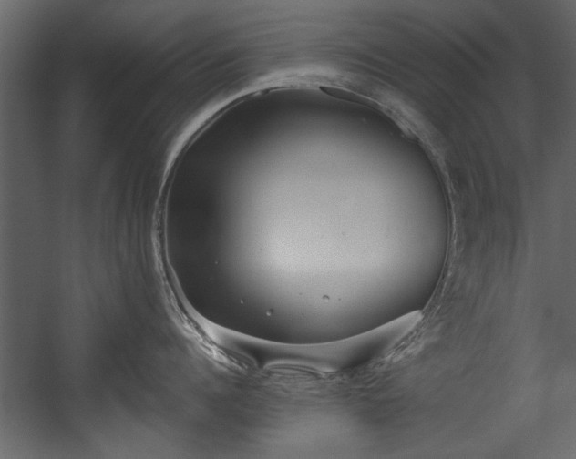 X0000054420960200508011354