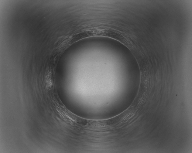 X0000054420962200508011353