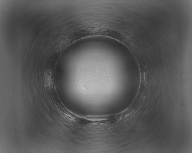 X0000054420963200508011353