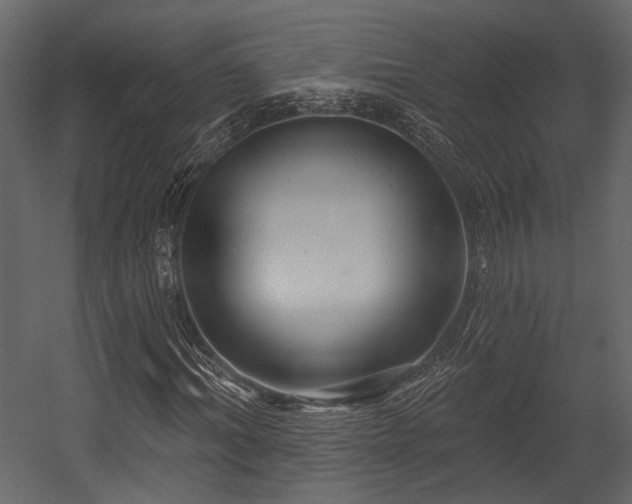 X0000054420964200508011353