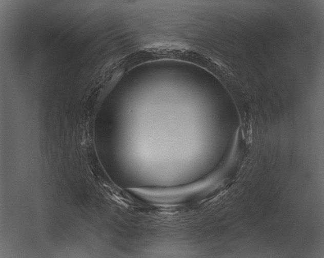 X0000054420965200508011353