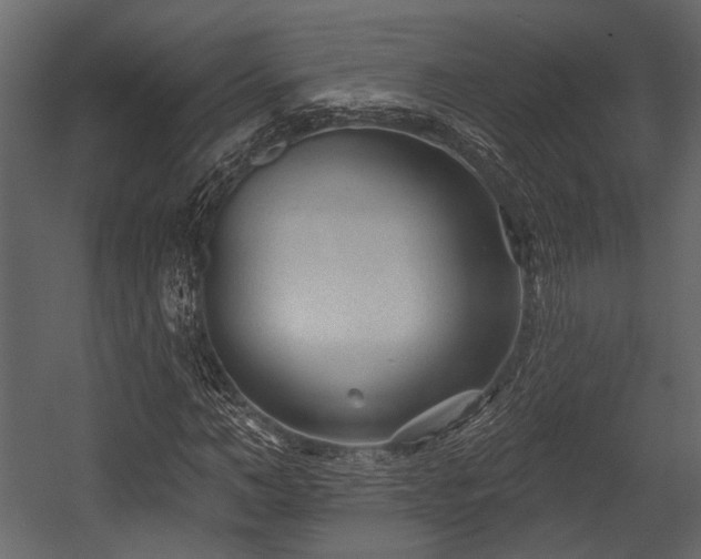 X0000054420966200508011353