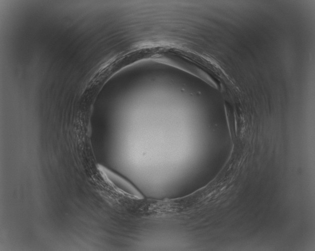 X0000054420967200508011353