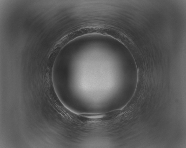 X0000054420968200508011353