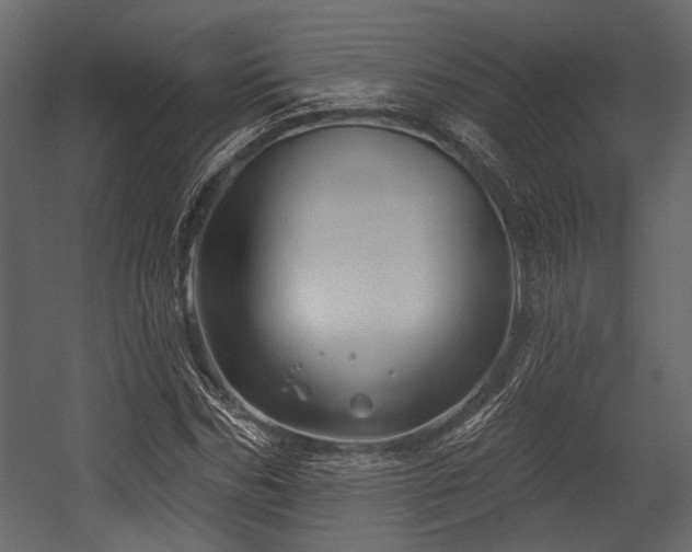 X0000054420970200508011353