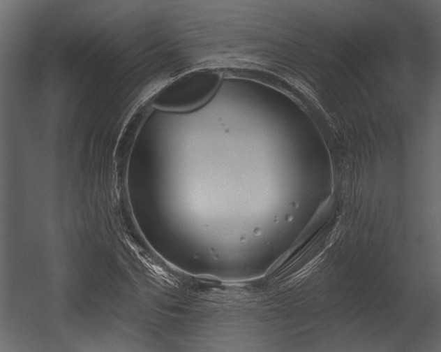 X0000054420974200508011353