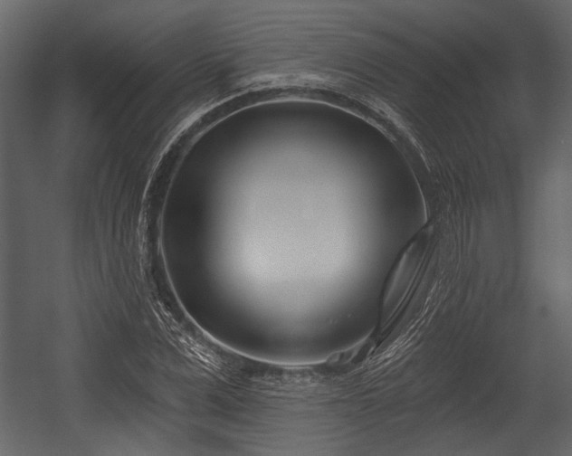 X0000054420975200508011353