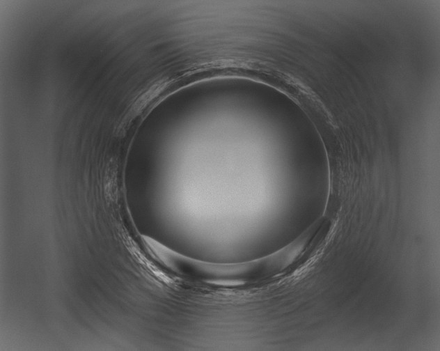 X0000054420977200508011353