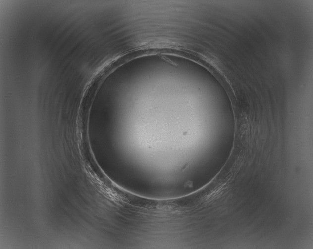 X0000054420979200508011353