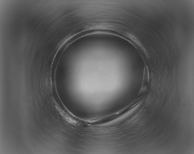 X0000054420980200508011353