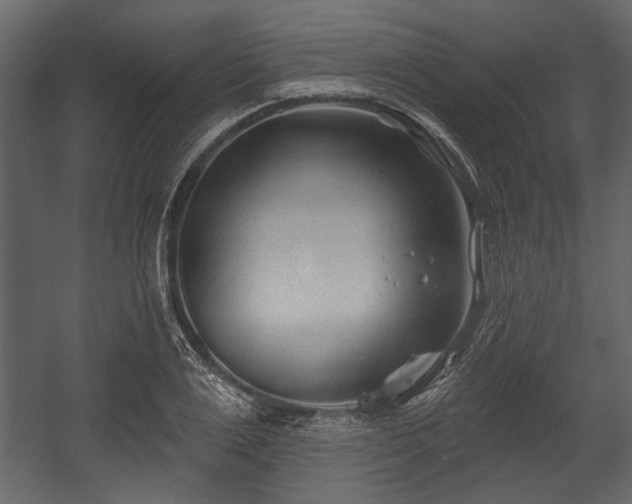 X0000054420983200508011353