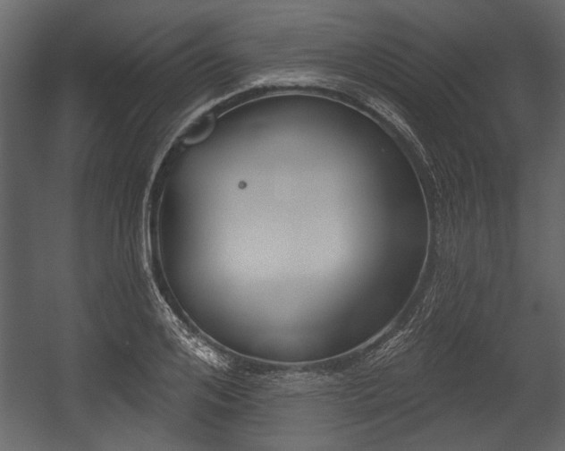 X0000054420984200508011353