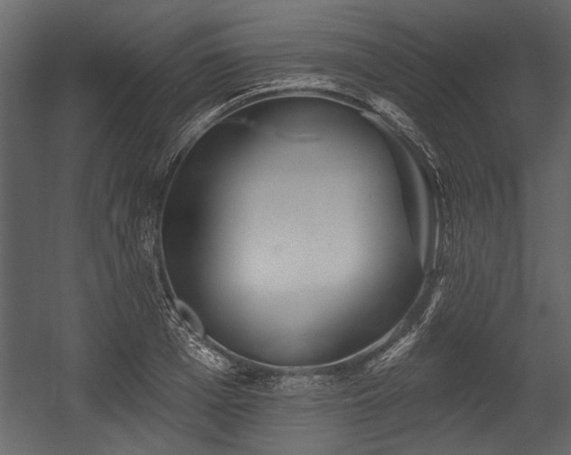 X0000054420985200508011353