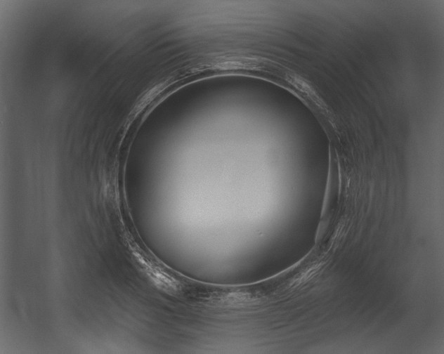 X0000054420986200508011353