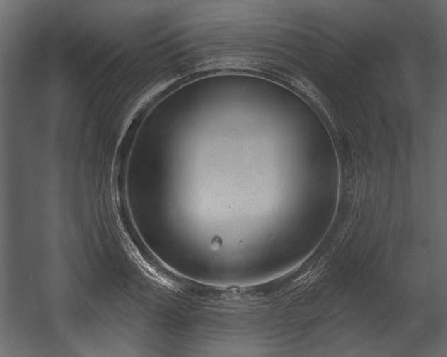 X0000054420987200508011353