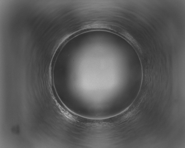 X0000054420988200508011353