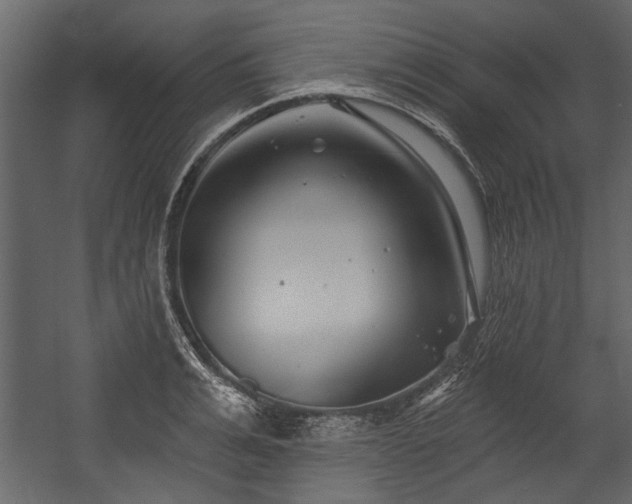 X0000054420991200508011353