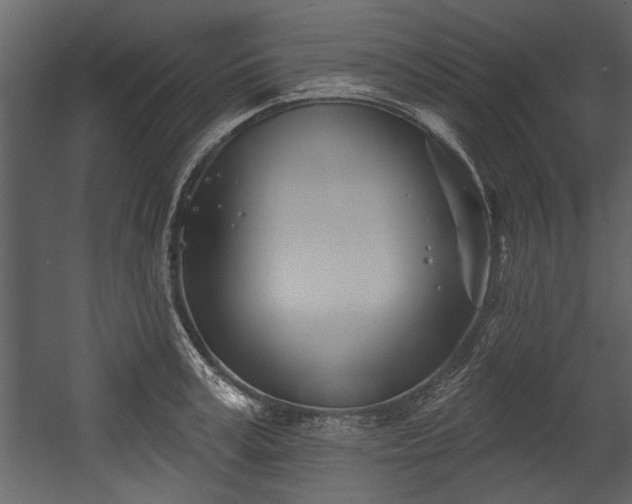 X0000054420995200508011353