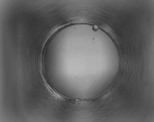 X0000054421000200508011352