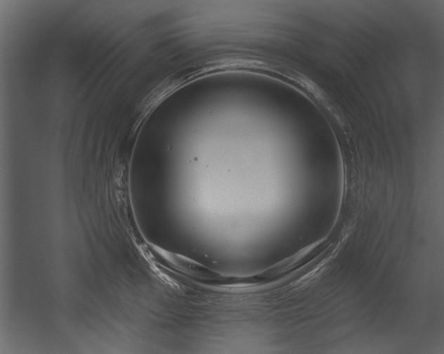 X0000054421001200508011352